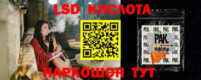 амф Новодвинск