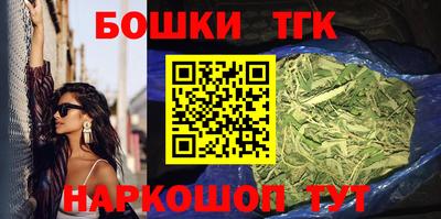 амф Новодвинск
