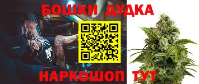 шишки Новокубанск