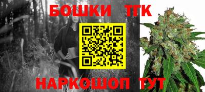 шишки Новокубанск