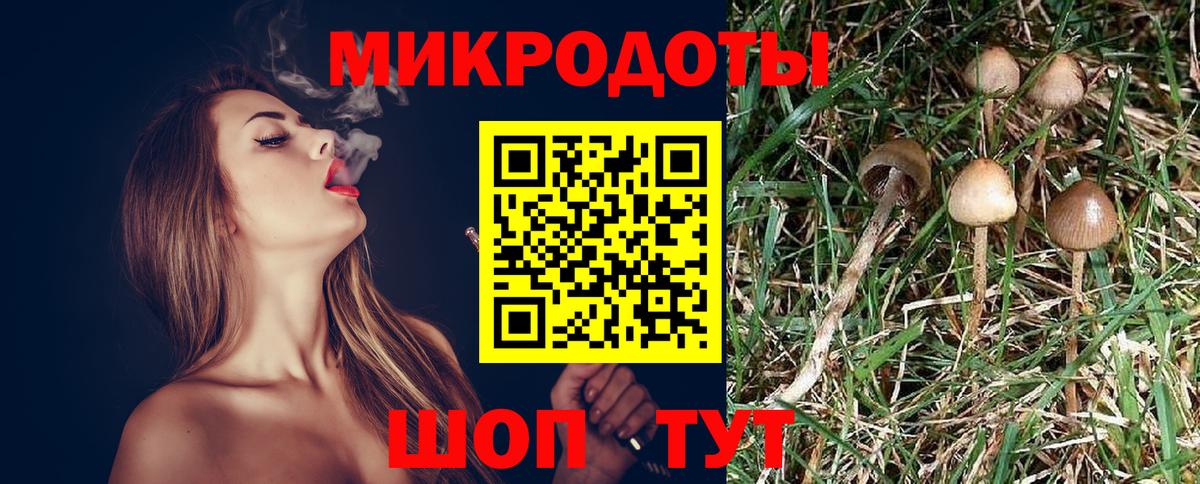 Галлюциногенные грибы мицелий Сургут