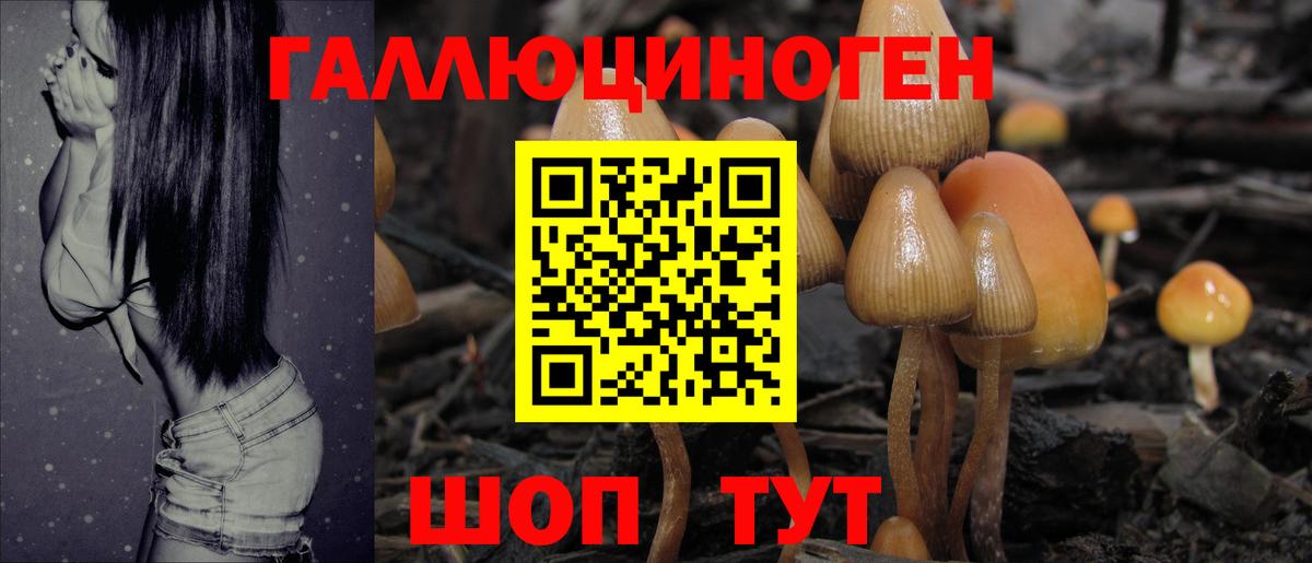 Сургут  Галлюциногенные грибы Magic Shrooms  Вход с VPN  Галлюциногенные грибы мухоморы 