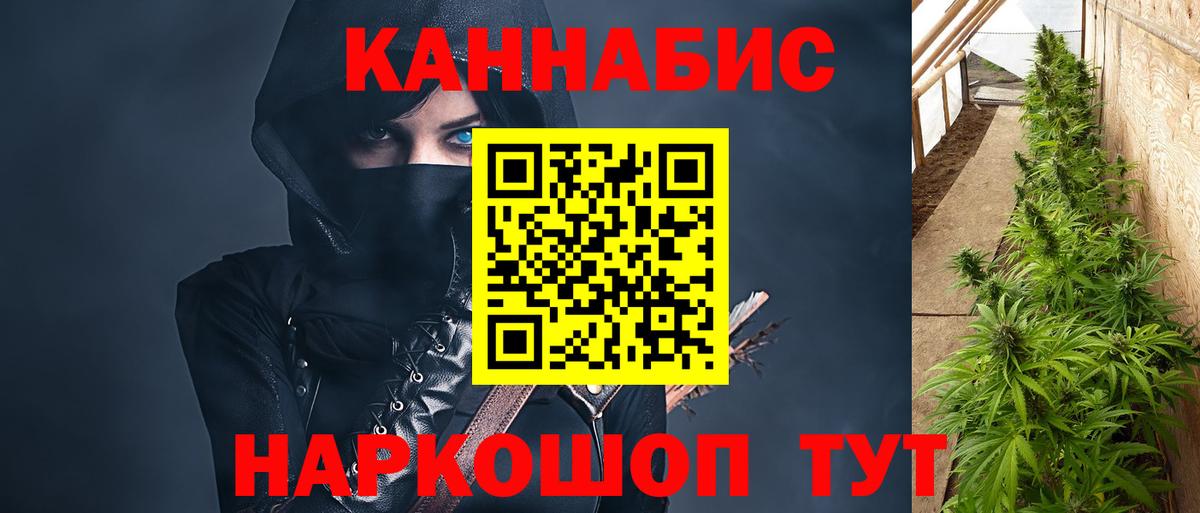 Бошки Шишки марихуана Сургут